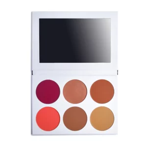 FANTA PALETTE -Dark Skin Solution Palette פלטה פאנטה-עור כהה עדה לזורגן